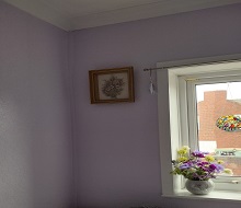 Fresh painted room in domestic property